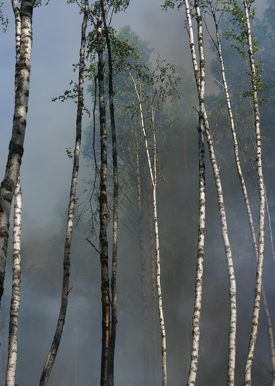 “Great Basin Water Conservation Methods” ~ The Great Basin’s Water…