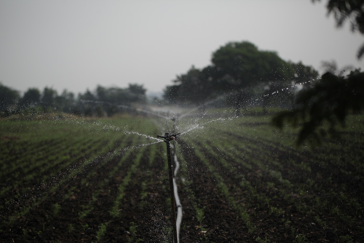 Irrigation Water Solutions: The Great Basin: A Thirsty Land TL;DR…