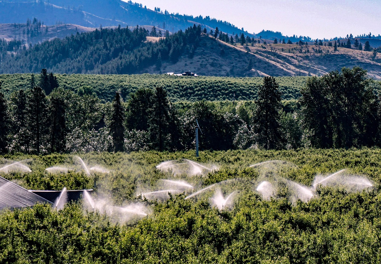 Water-efficient Irrigation Techniques » The Great Basin: Where Water Is…