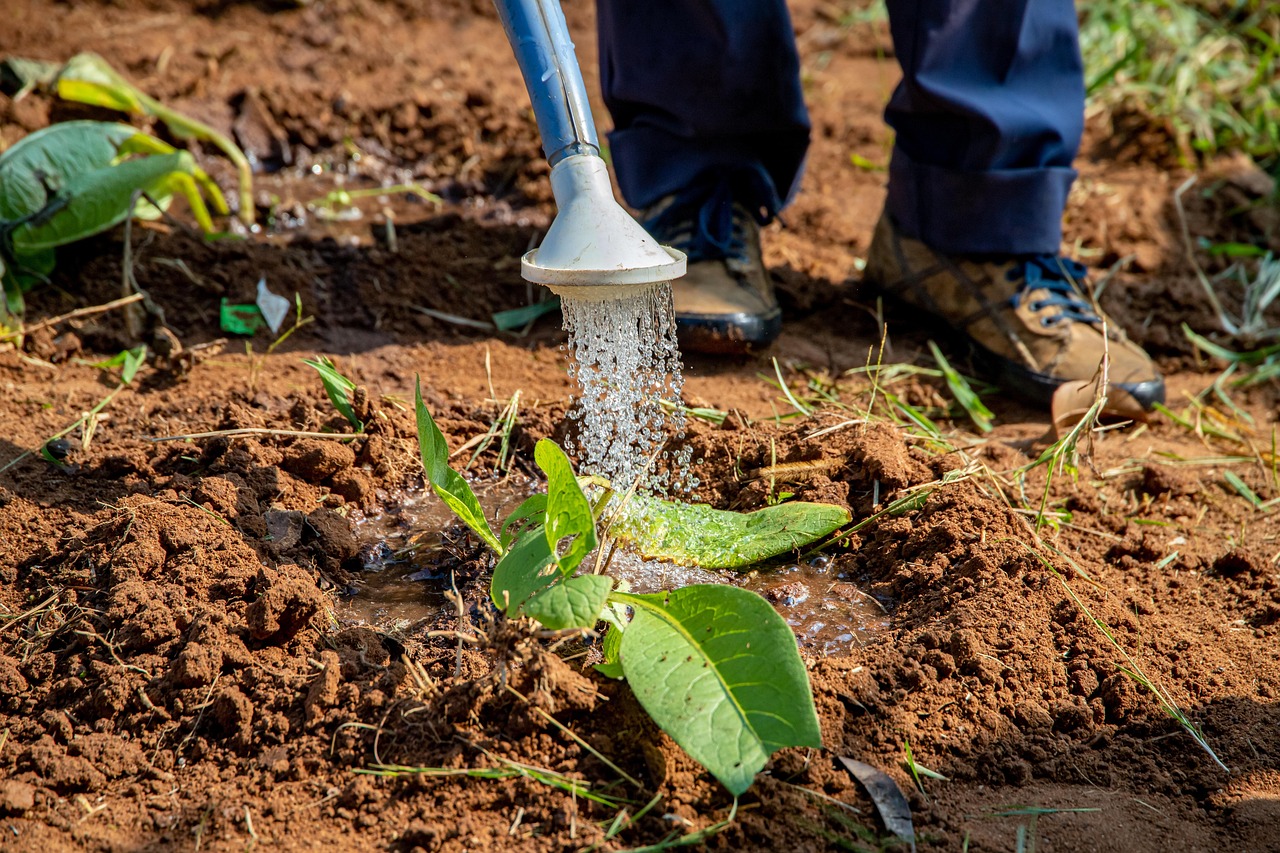 Water-efficient Irrigation Techniques: The Great Basin: A Thirsty Land TL;DR:…