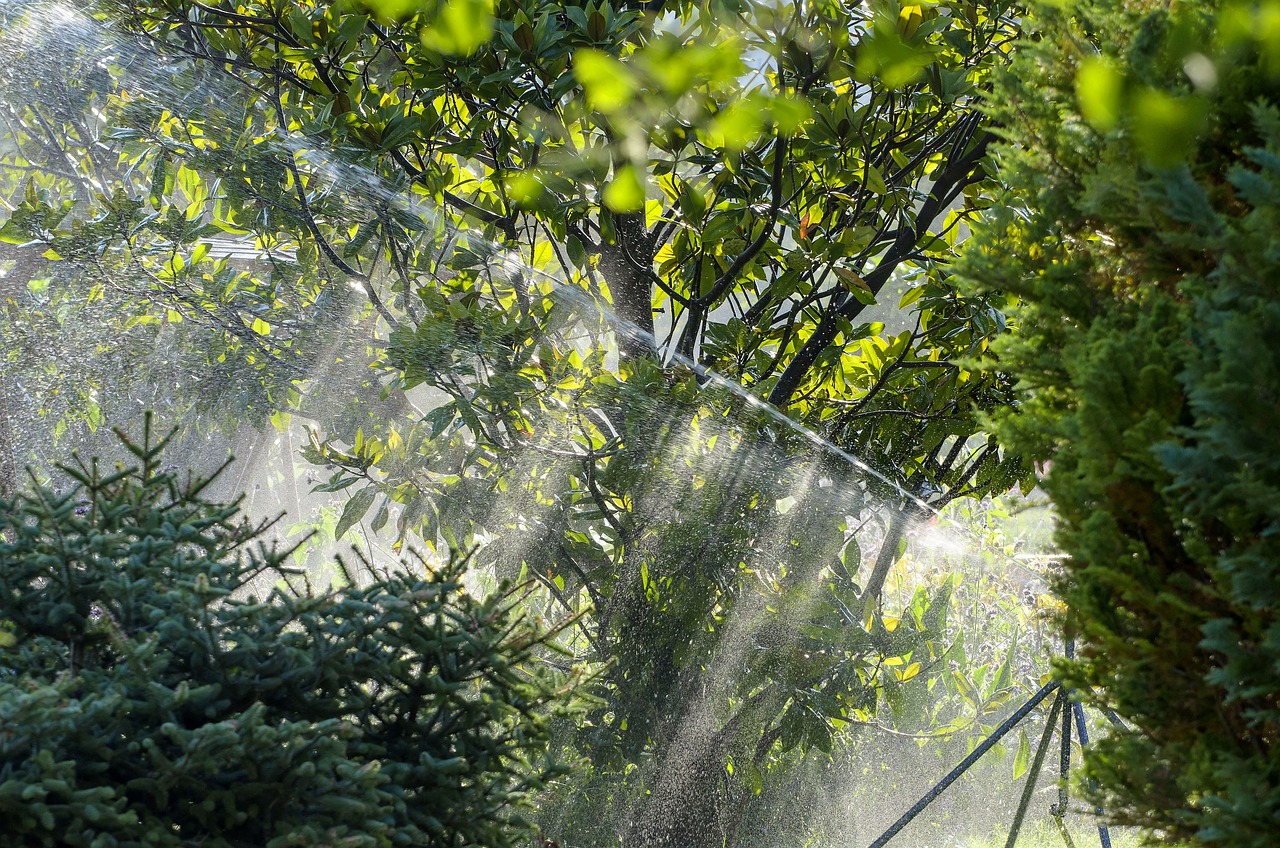 Water-efficient Irrigation Techniques | 💦 A Thirsty Land: The Great…