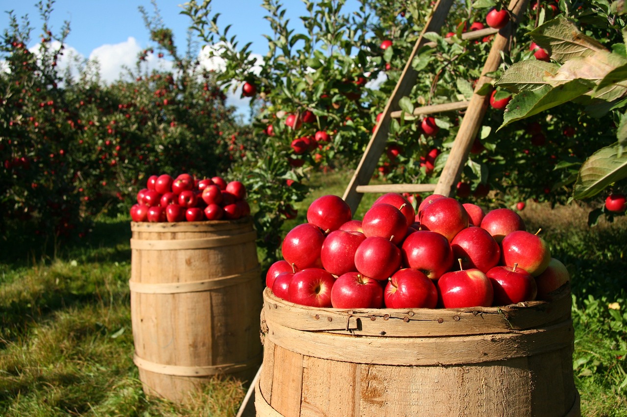 Water Scarcity Solutions For Agriculture: 💦 The Great Basin’s Thirsty…