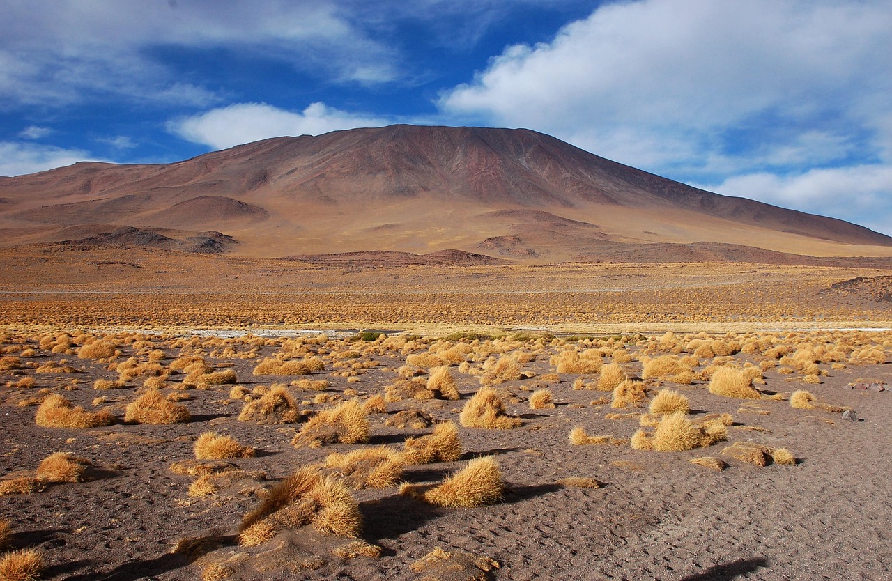 Laguna Salda – The Laguna Salada: A Desert Oasis Facing…