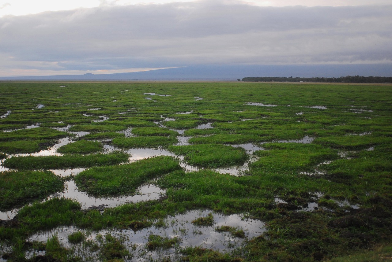 Climate Change Impact On Great Basin – Laguna Salada: A…