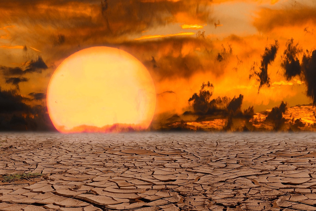 Climate Resilience | The Laguna Salada’s Watery Story: A Desert’s…