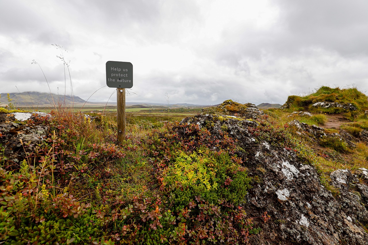 Climate Resilience ~ A Sea Of Challenges: The Laguna Salada’s…