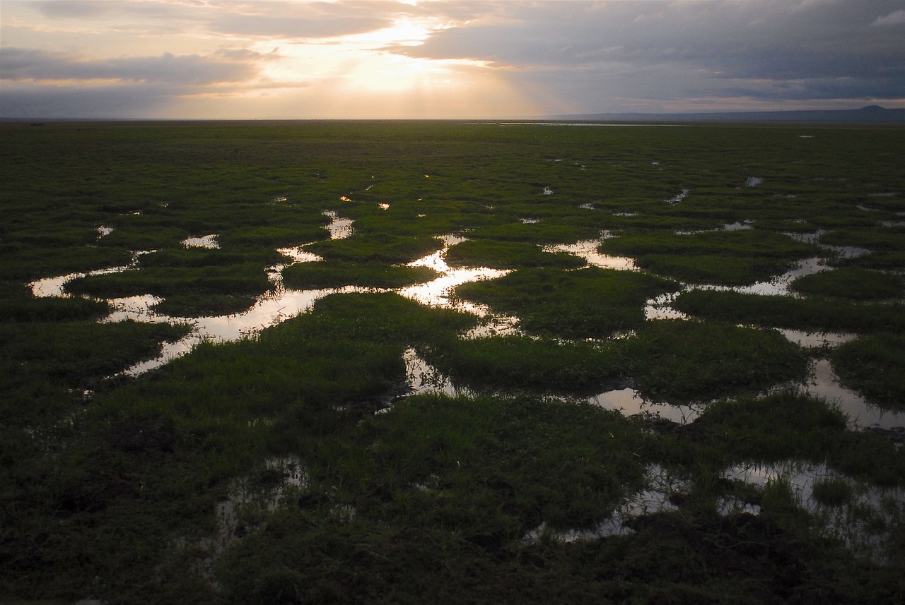 Climate Resilience – Laguna Salada: A Desert Oasis Facing A…