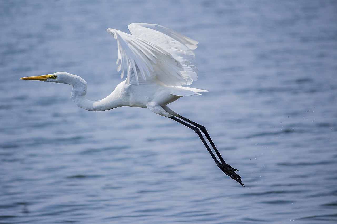 How Laguna Salada Affects The Great Basin Water Cycle -…