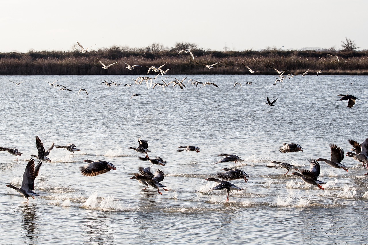 Long-Tail Keywords Related To Laguna Salada Water Supply: Laguna Salada:…