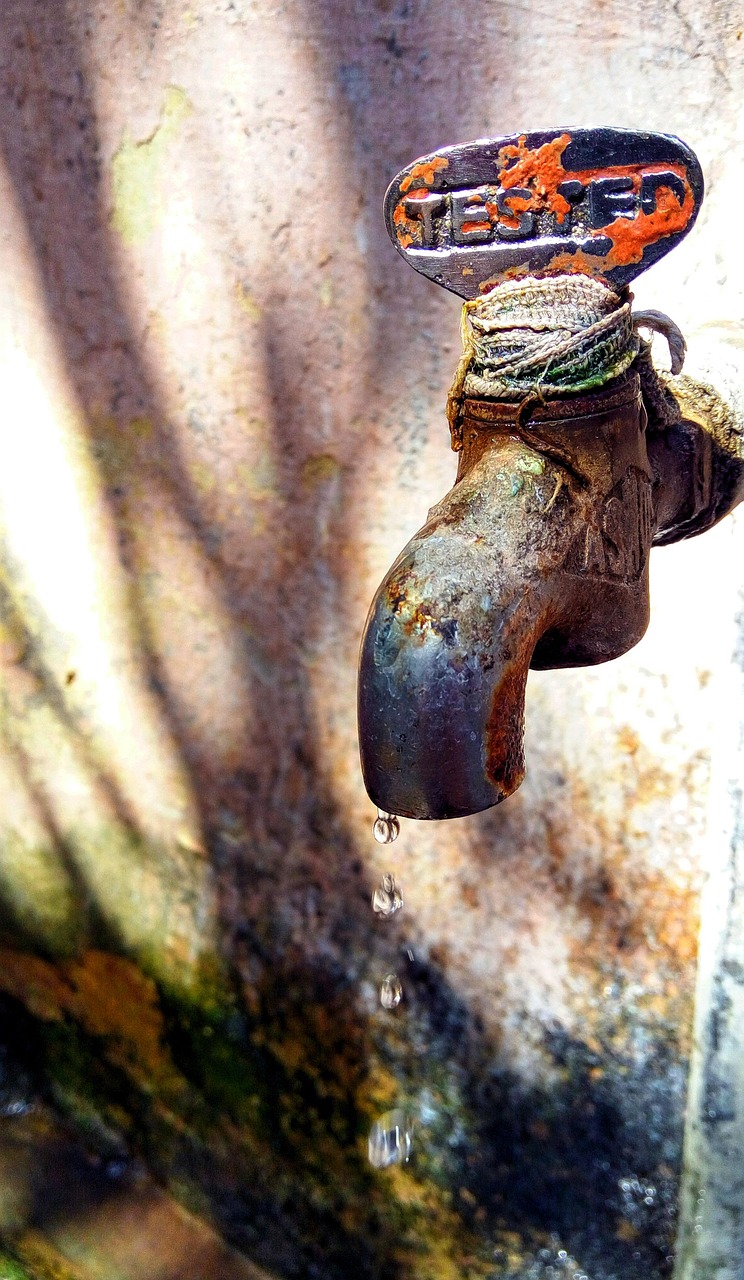 Water Conservation In Laguna Salada ~ Laguna Salada: A Desert…