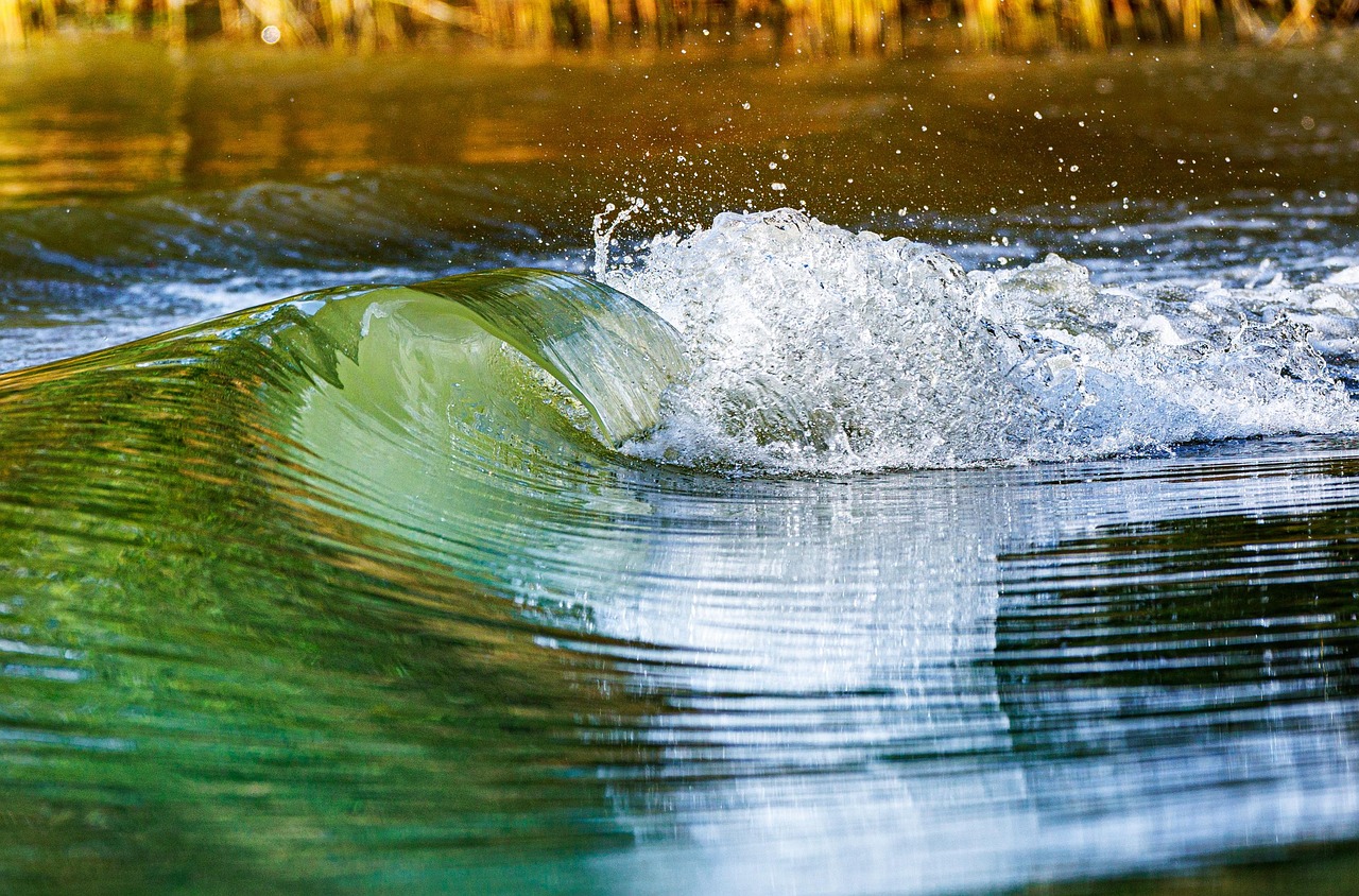 Water Reclamation / The Laguna Salada: A Desert Oasis Facing…