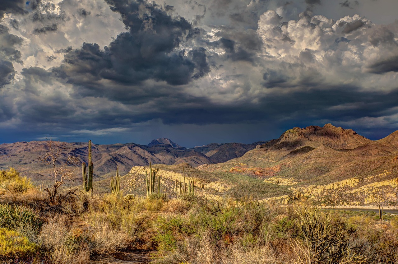 Great Basin Desert ~ The Laguna Salada: A Desert Oasis…