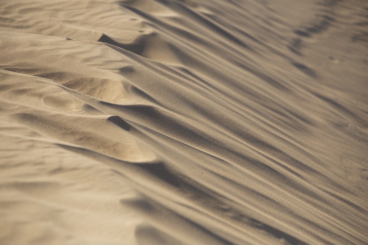 Great Basin Desert | The Laguna Salada: A Desert Oasis…