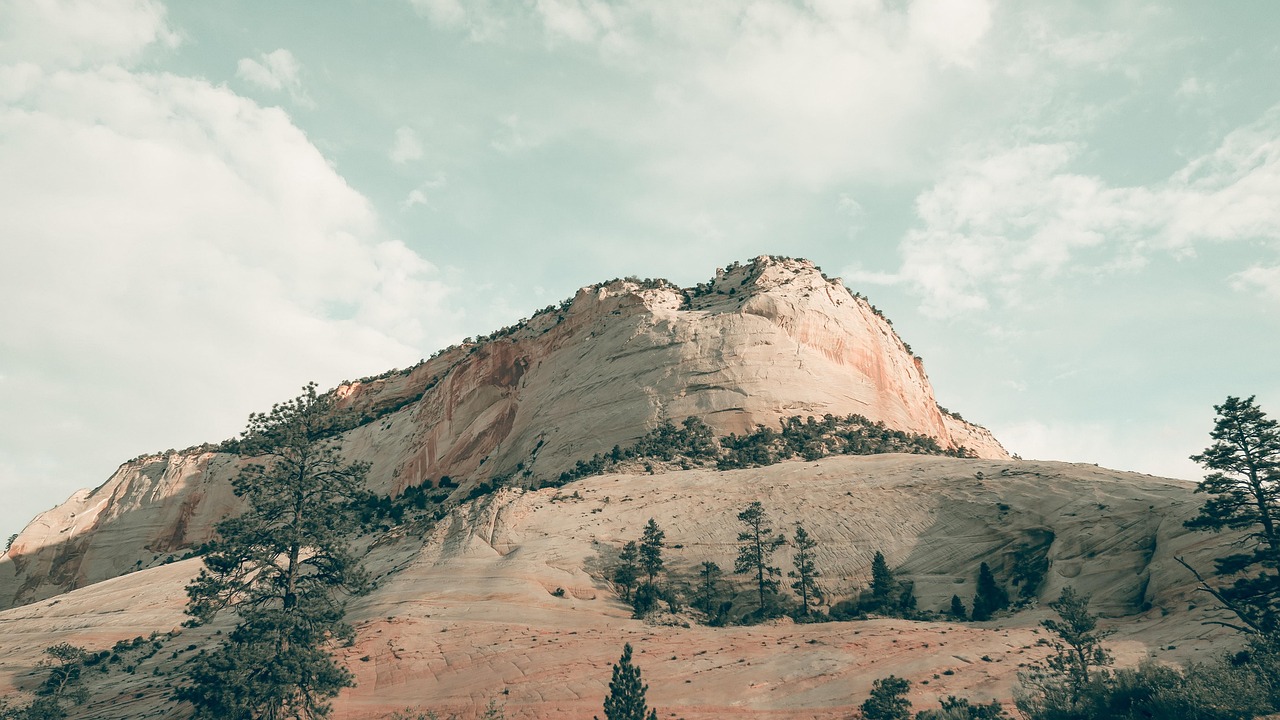 Great Basin Desert – A Salty Story: Saving Water In…