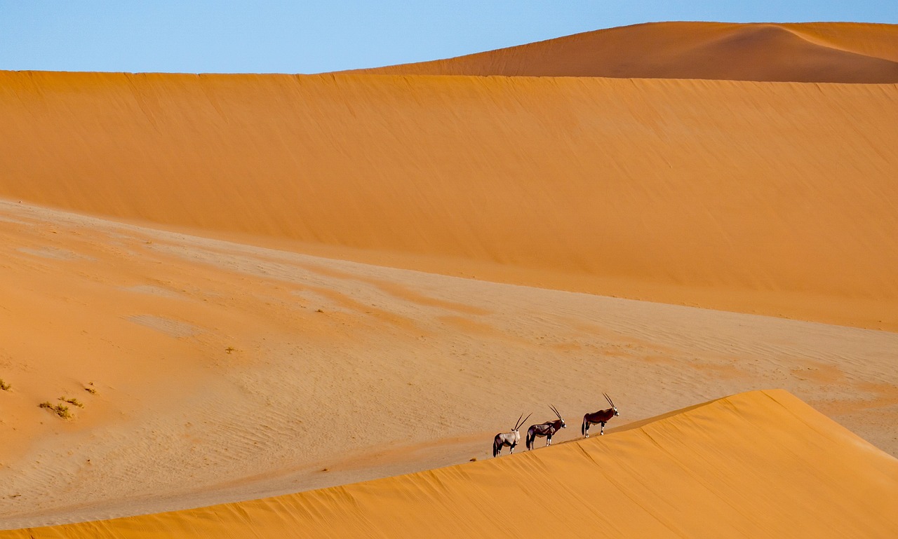 The Great Basin Desert / Laguna Salada: A Desert Oasis…