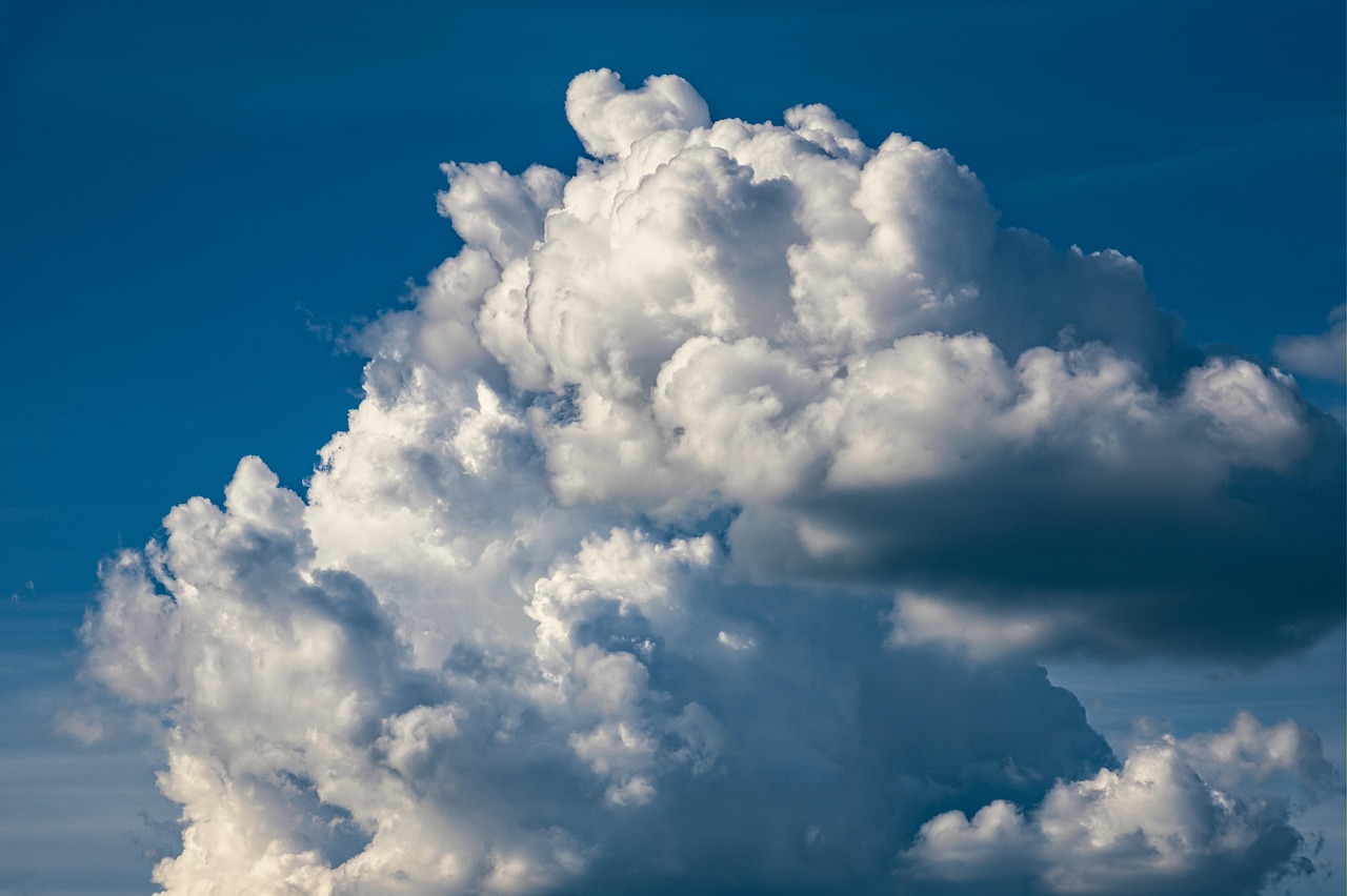 Active Climate Rescue Initiative | The Salty Secret Of The…