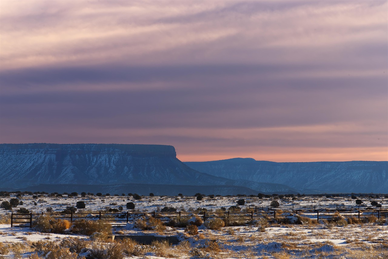 The Great Basin Desert ~ Laguna Salada: A Desert Oasis…