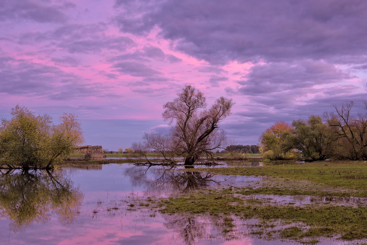 Active Climate Rescue Initiative: The Laguna Salada: A Desert Oasis…