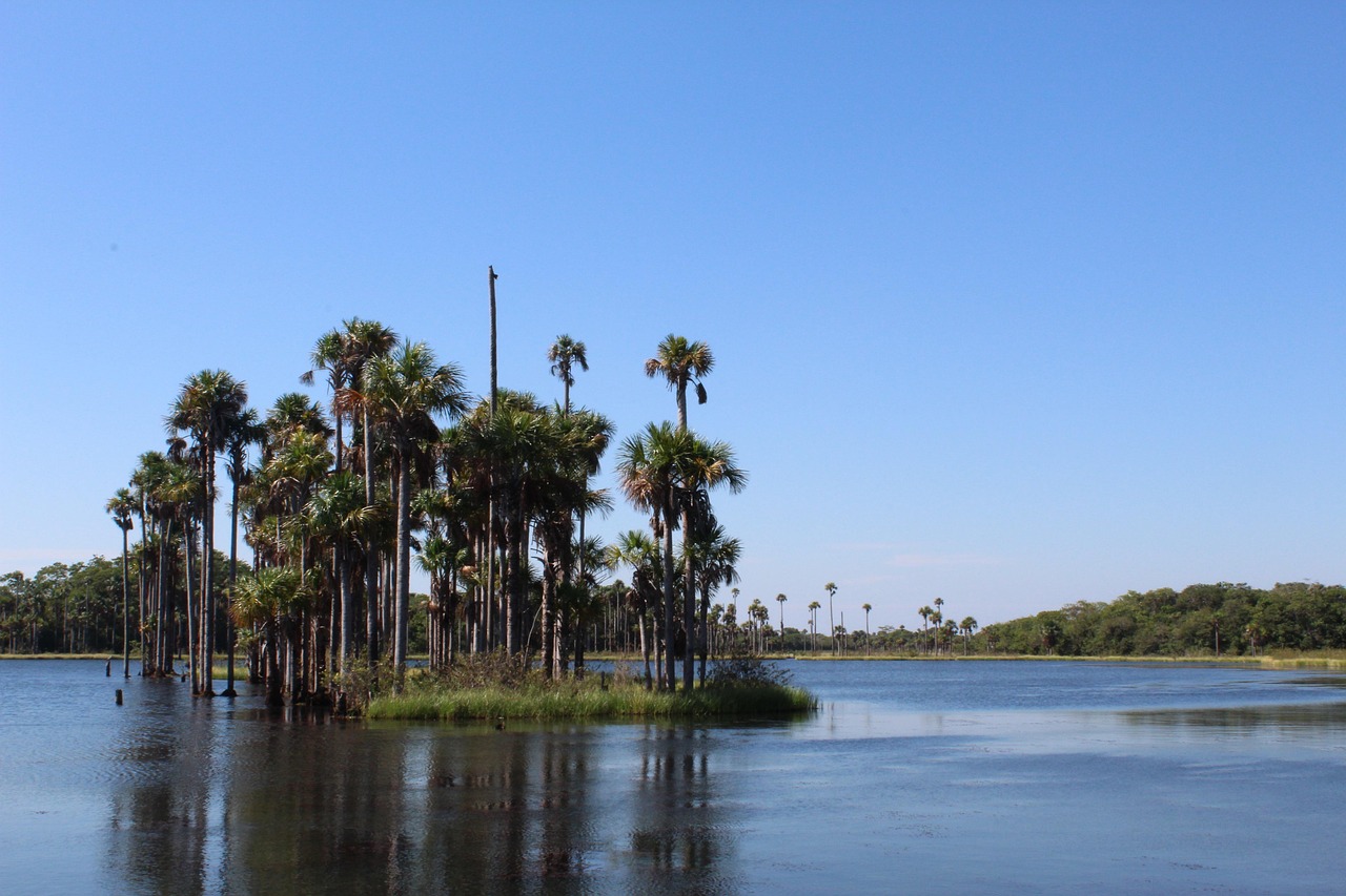 Benefits Of Water Reclamation In Laguna Salada: The Laguna Salada’s…