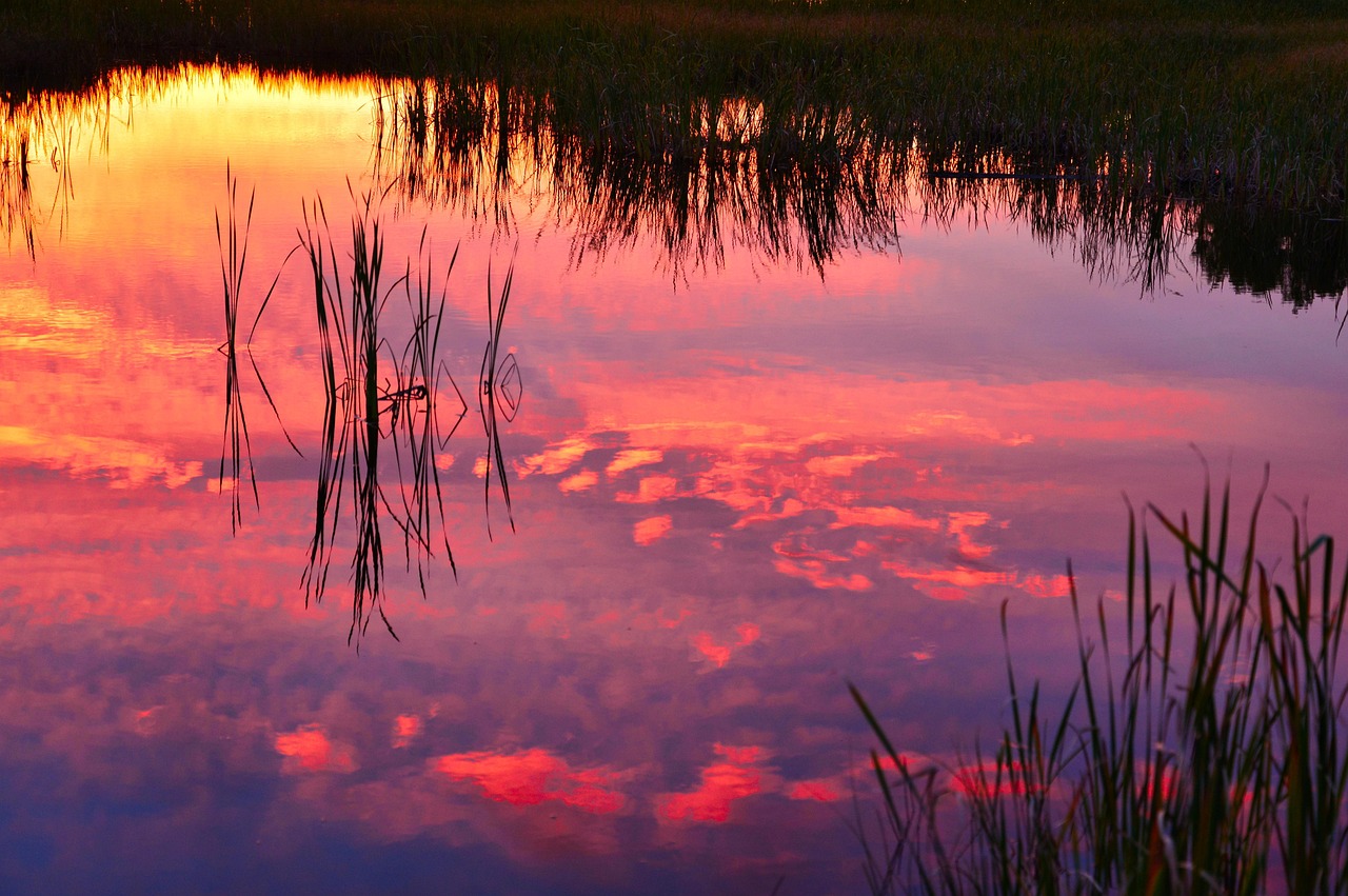 Climate Change Impact On Great Basin » Laguna Salada: A…