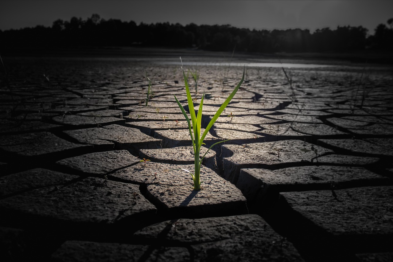 Climate Resilience Strategies For The Great Basin ~ The Laguna…
