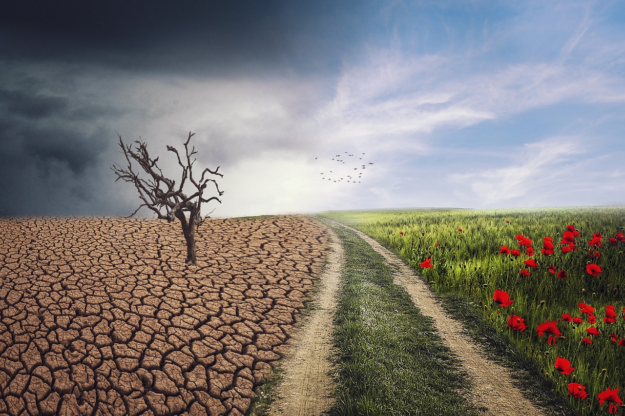 Climate Resilience Strategies For The Great Basin ~ Saving The…