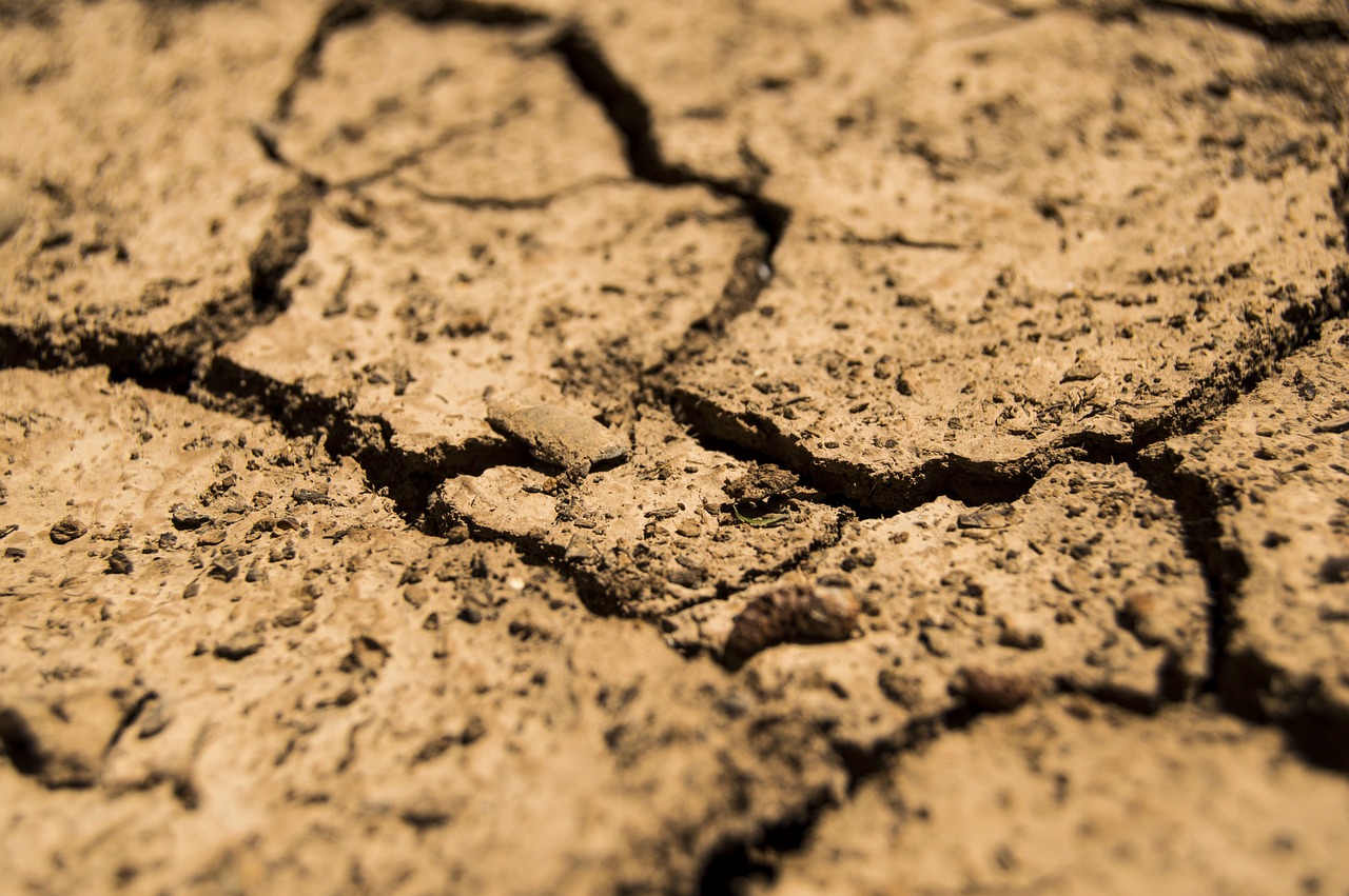 Climate Resilience ~ The Laguna Salada: A Desert Oasis Facing…