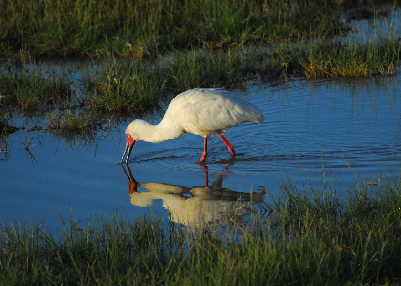 Climate Resilience ~ The Laguna Salada: A Desert Oasis Facing…