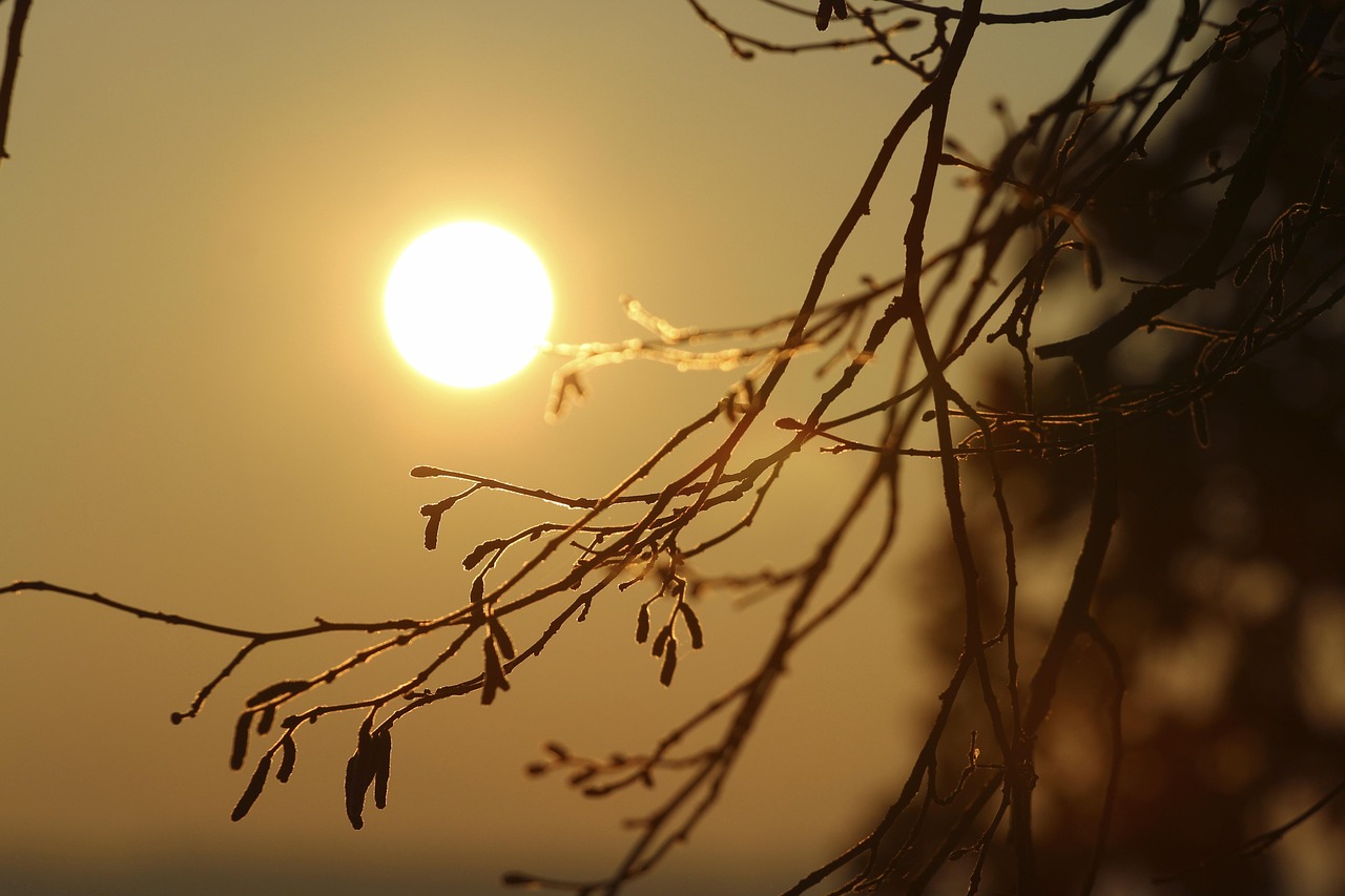 Climate Resilience » Laguna Salada: A Desert Oasis In Need…