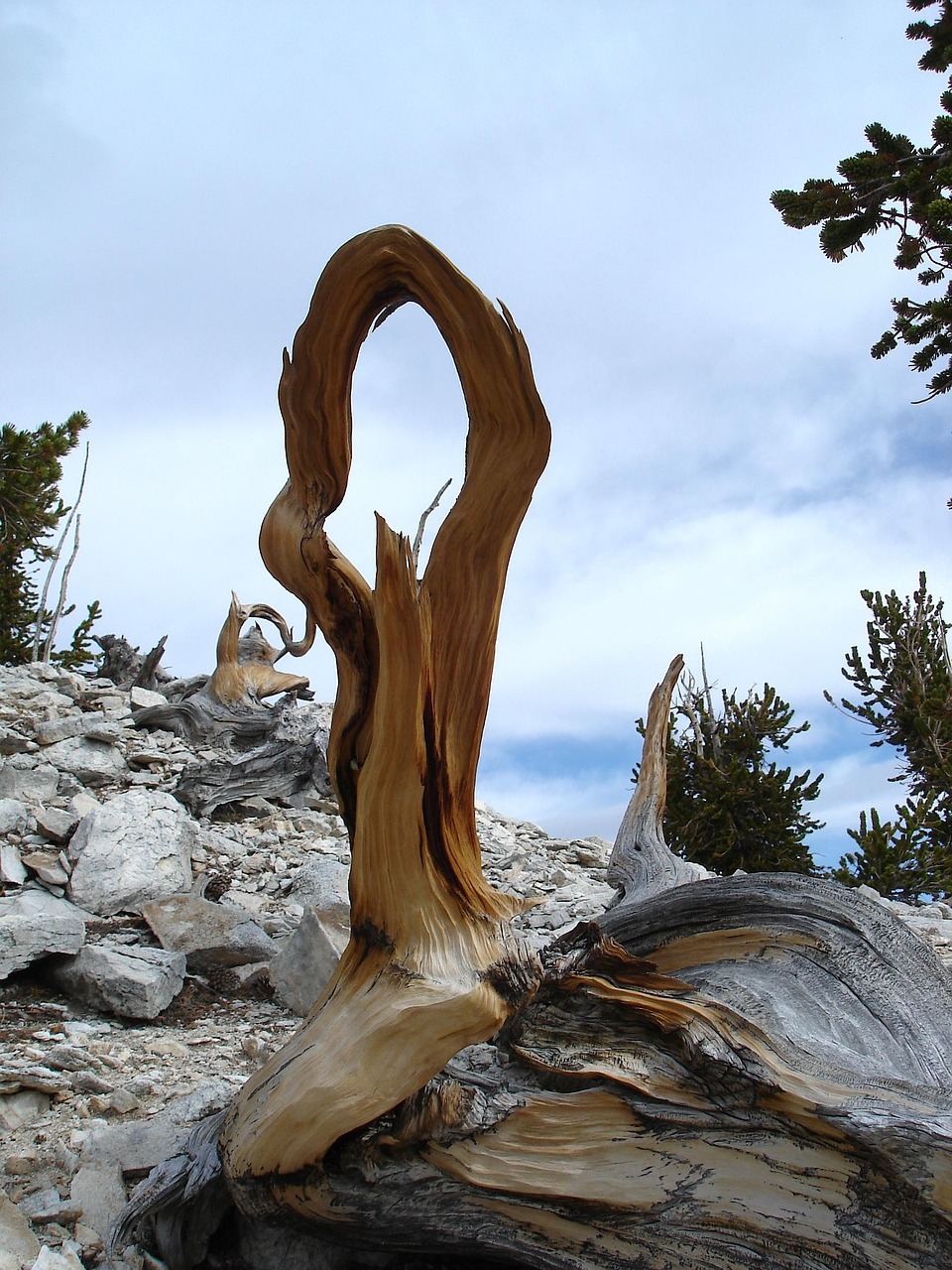 How Laguna Salada Affects The Great Basin Water Cycle ~…