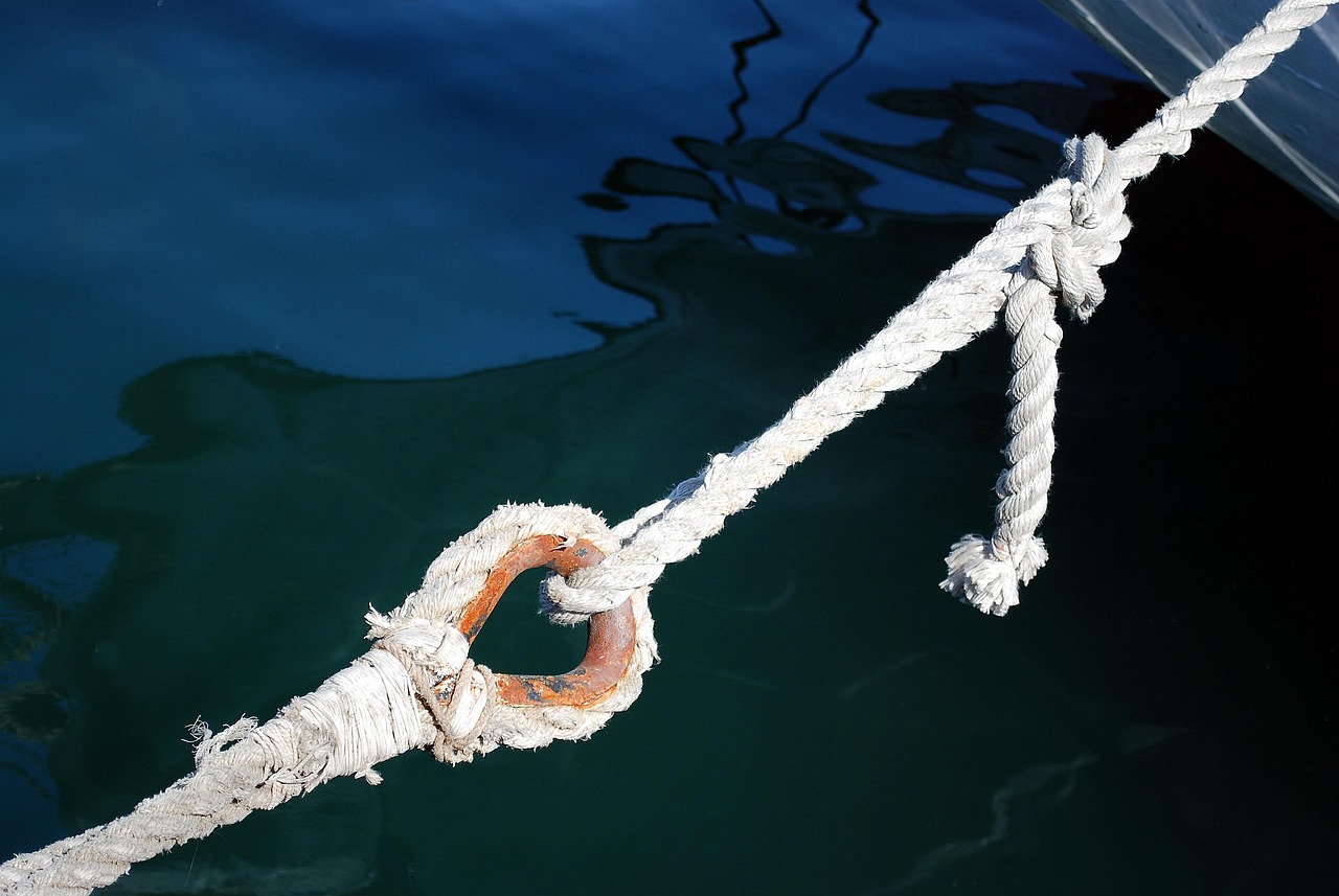 Related Keywords – The Amazing Journey Of Water: A Story…