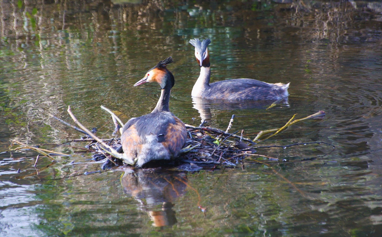 Sustainable Water Management In The Great Basin » The Great…