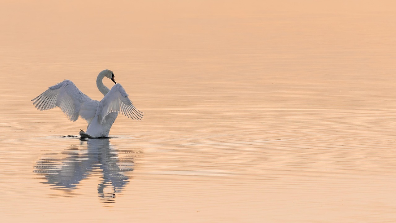 Water Conservation In Laguna Salada / The Laguna Salada: A…
