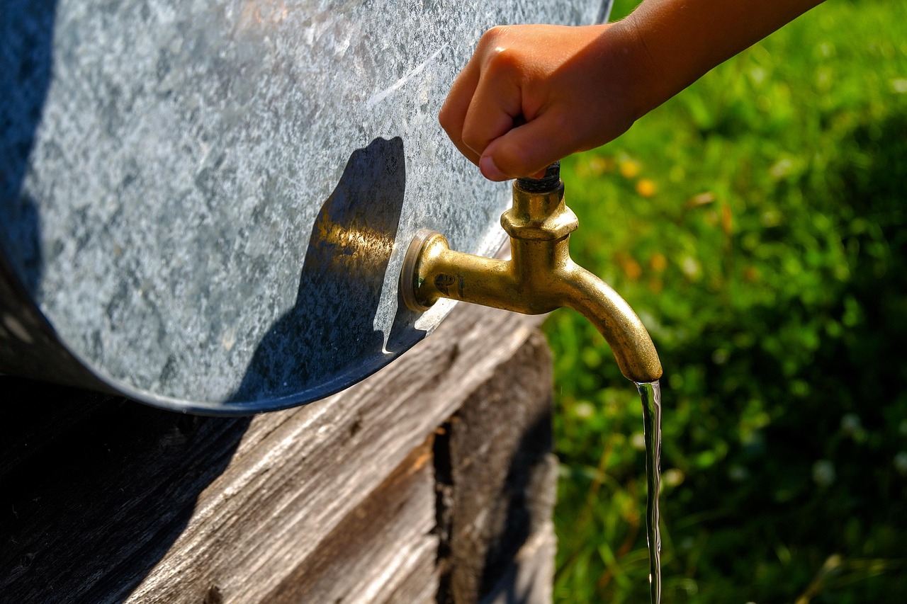 Water Conservation Techniques In The Great Basin / The Laguna…