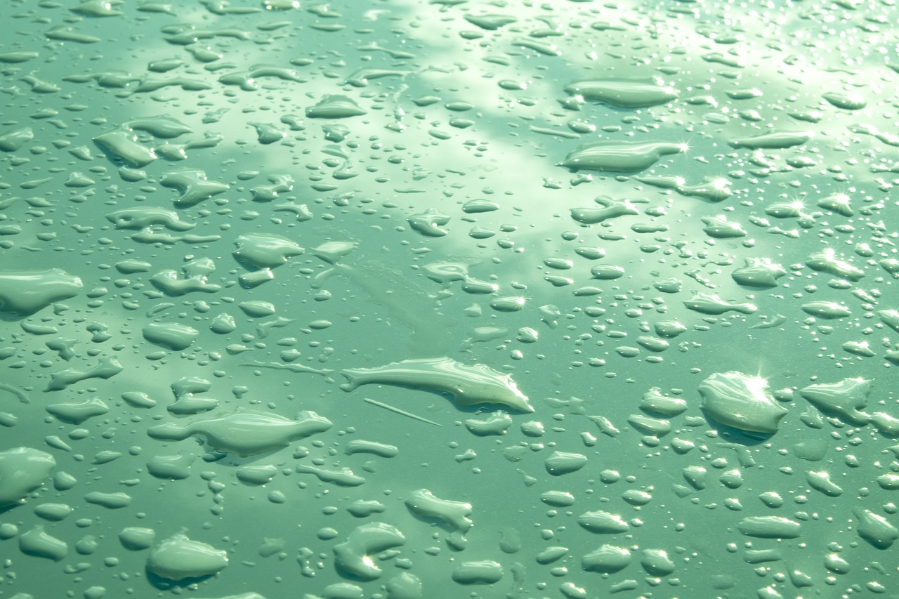 Water Reclamation ~ The Laguna Salada: A Desert Oasis In…