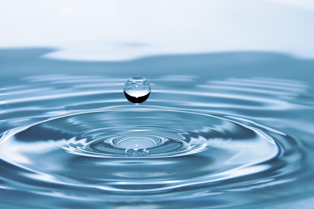 Water Reclamation – The Laguna Salada: A Desert Oasis In…