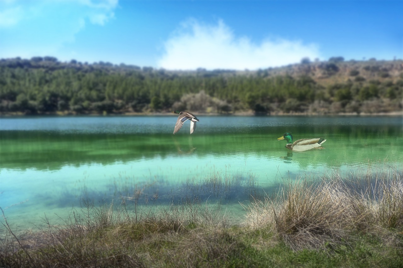 Laguna Salada Baja California – The Laguna Salada: A Desert…