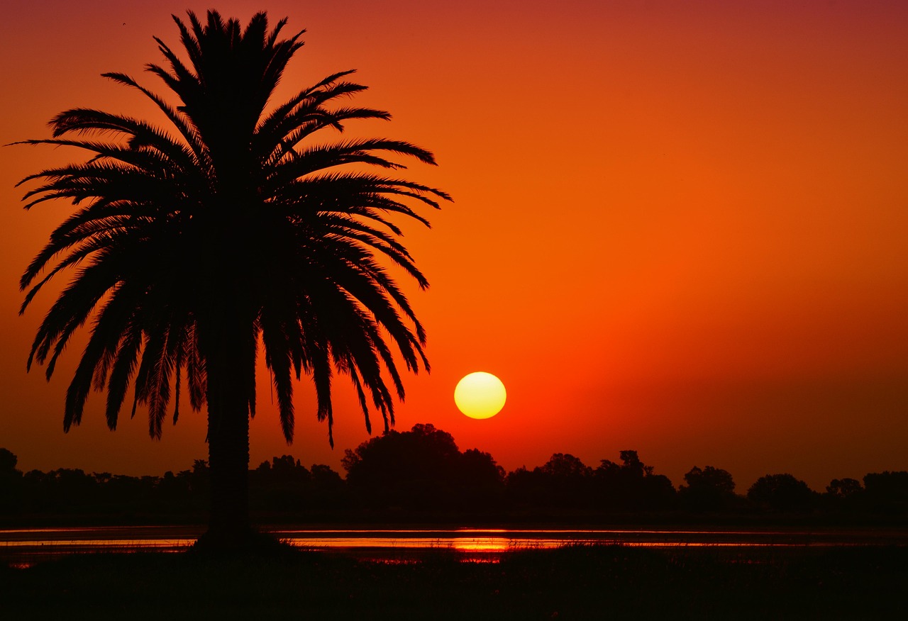 Laguna Salada » The Laguna Salada: A Desert Oasis Facing…