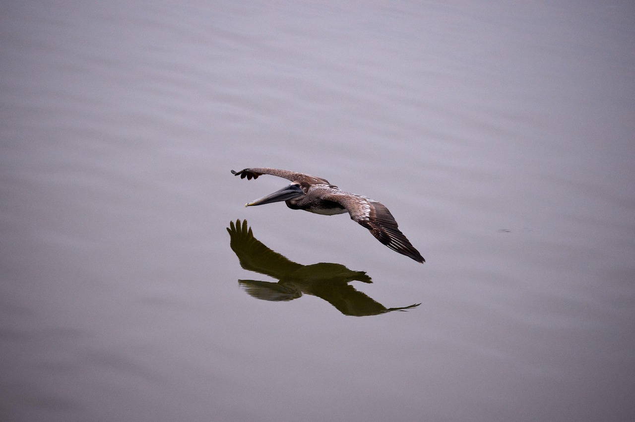 Laguna Salda – Laguna Salada: A Desert Oasis In Peril…