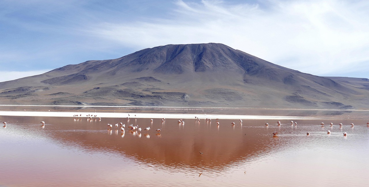 Laguna Salda ~ Laguna Salada: A Desert Oasis Facing A…