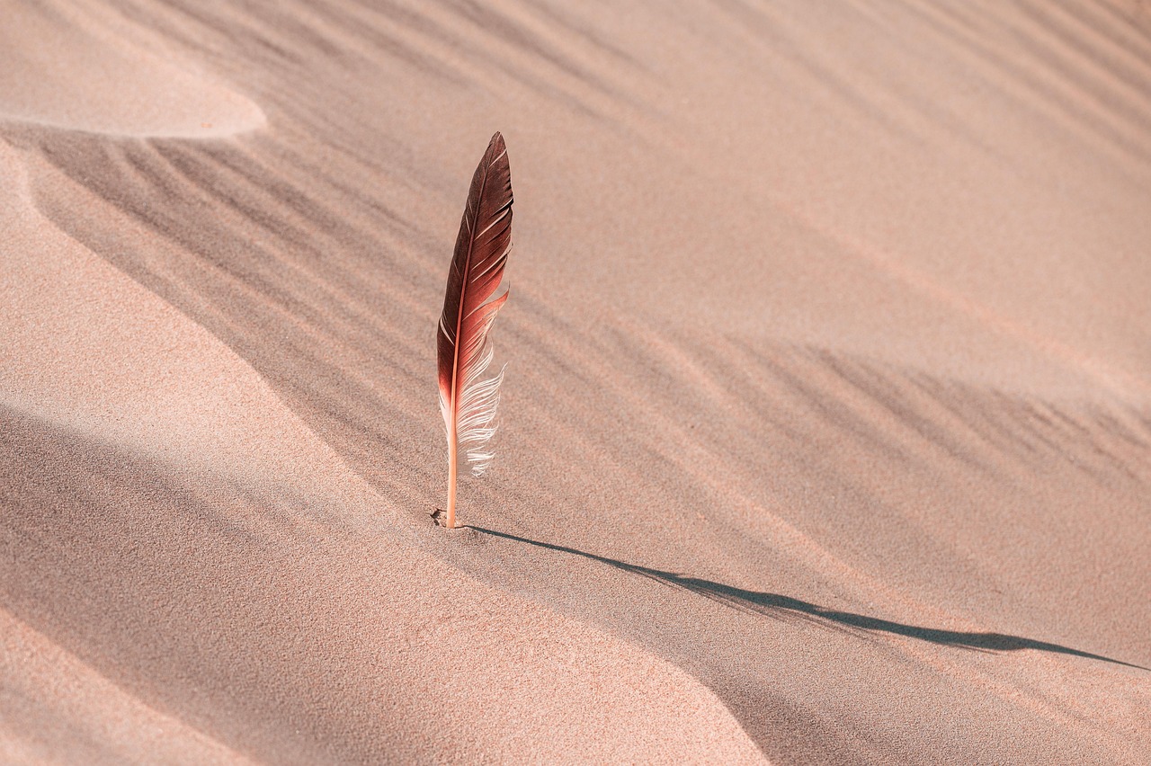 The Great Basin Desert / Laguna Salada: A Desert Oasis…