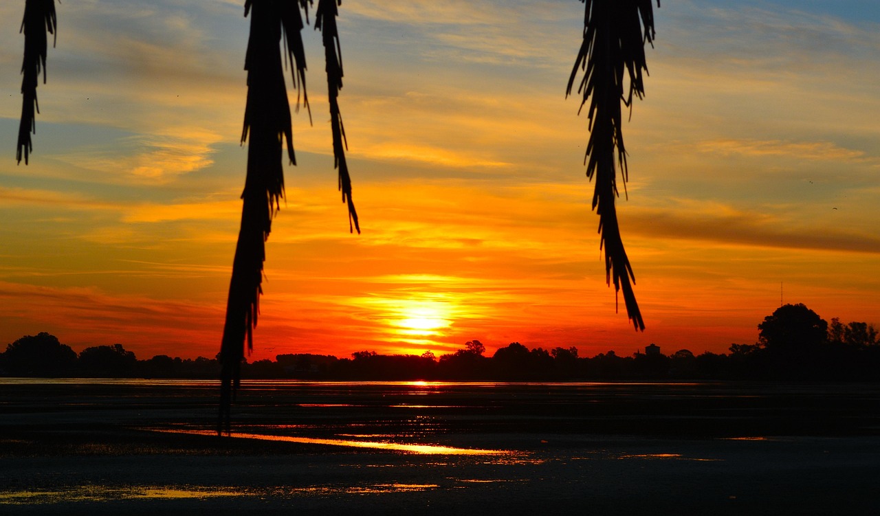 Laguna Salada / The Laguna Salada: A Lifeline In The…