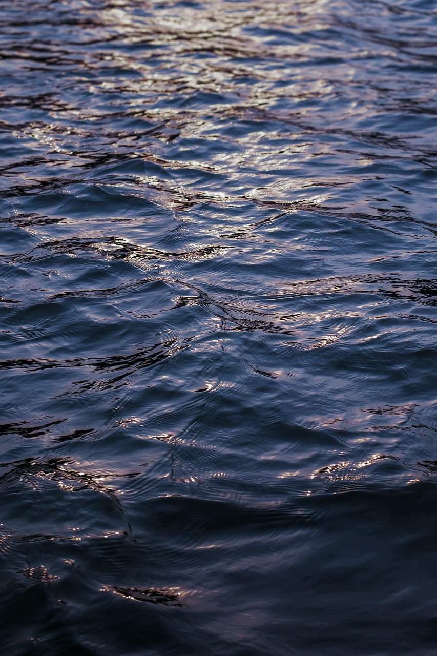 Colorado River Water Cycle ~ “`html Laguna Salada’s Water Story:…