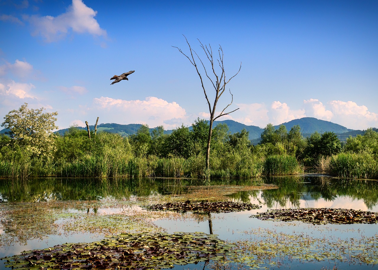 Efficient Water Cycle Reclamation | The Gist Imagine A Big,…