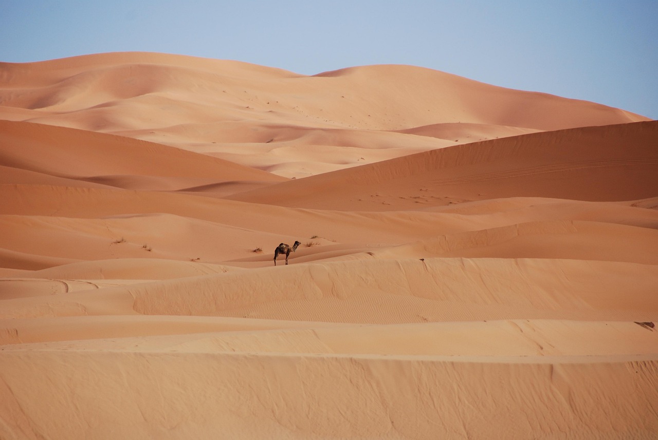 Great Basin Desert » Unveiling The Desert’s Secret: A Thirsty…