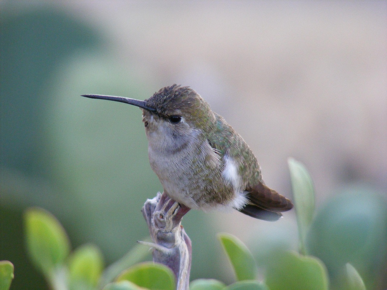 Laguna Salada Baja California: Unveiling The Mystery: How We Can…