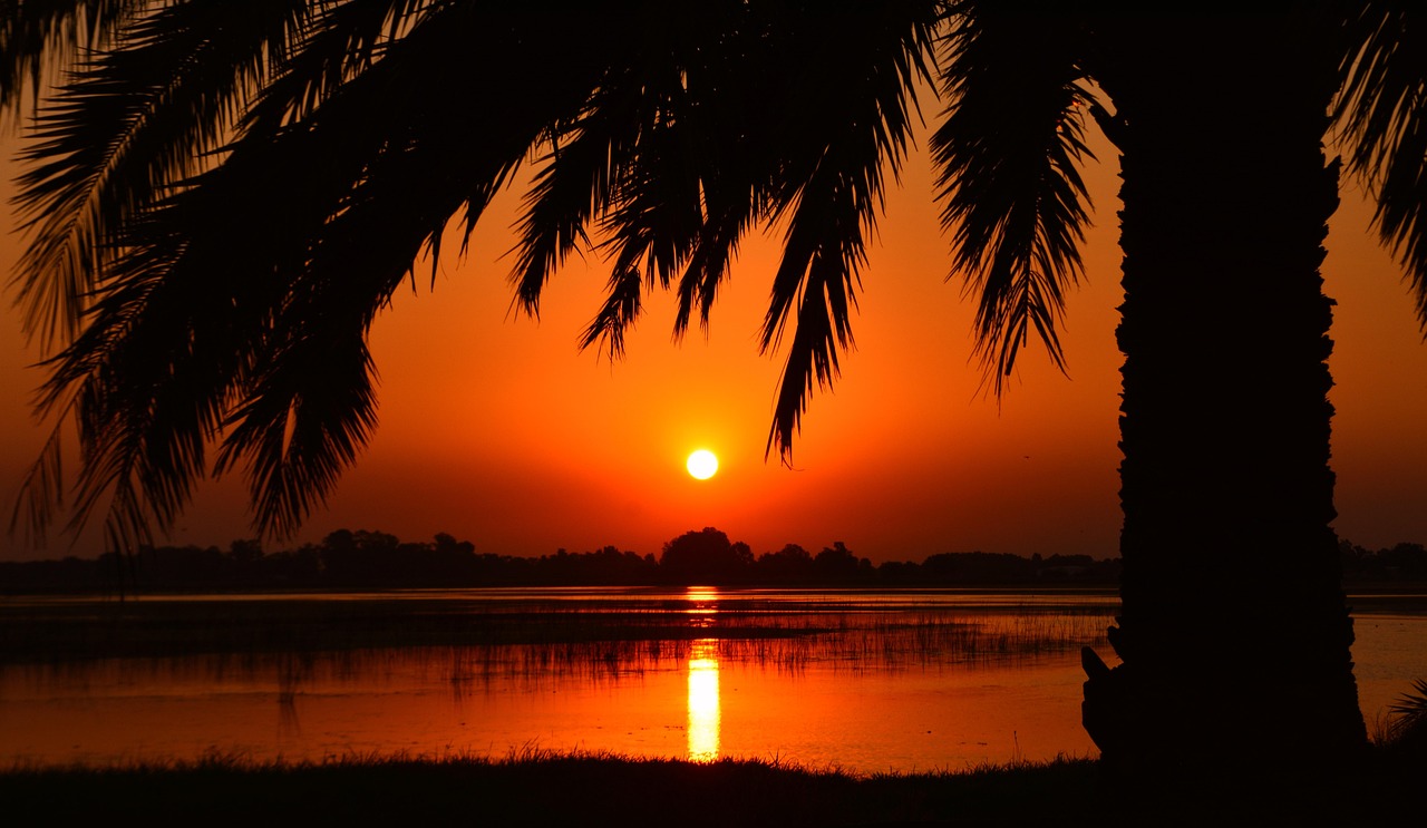 Laguna Salada Mexicali – A Desert’s Thirst: Unraveling The Laguna…