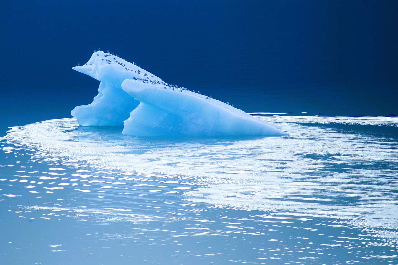 Active Climate Rescue Initiative » The Desert’s Thirsty Secret: Can…