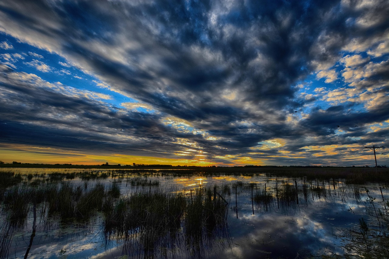 Benefits Of Water Reclamation In Laguna Salada / Quick Dive…