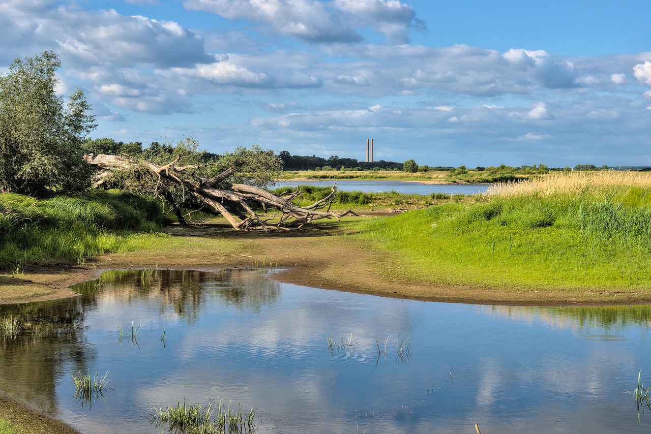 Climate Change Impact On Great Basin ~ Unraveling The Water…